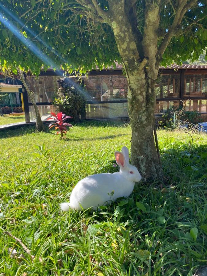 Fazenda Bonanza Country house Engenheiro Paulo de Frontin