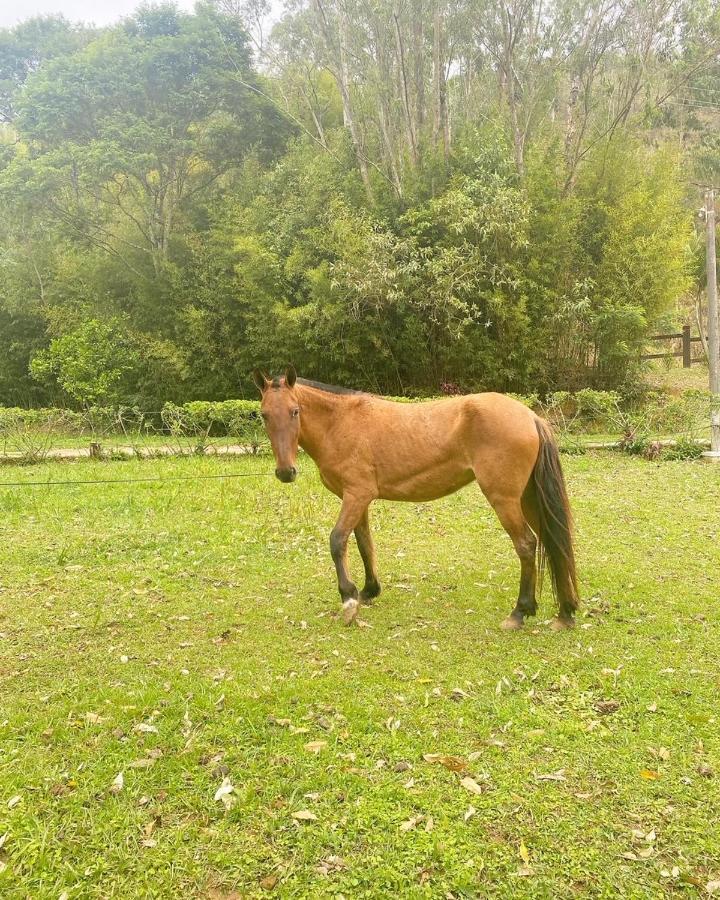Country house Fazenda Bonanza Engenheiro Paulo de Frontin