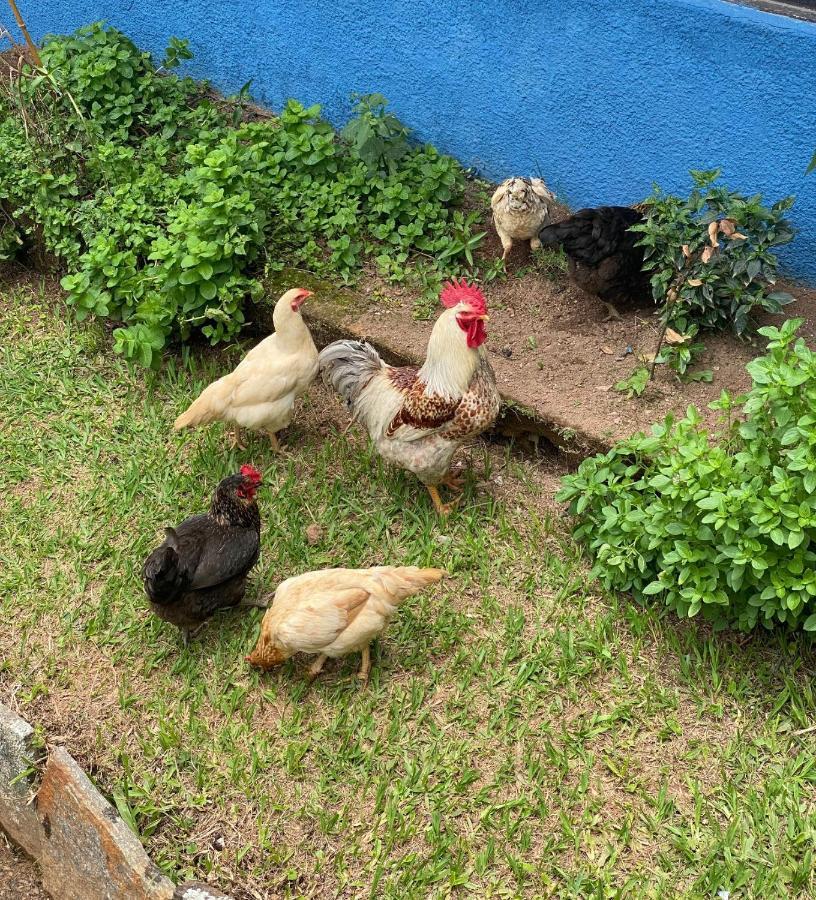 Fazenda Bonanza Engenheiro Paulo de Frontin