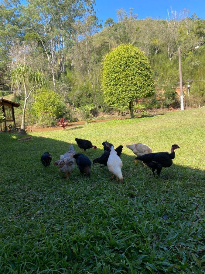 Fazenda Bonanza *